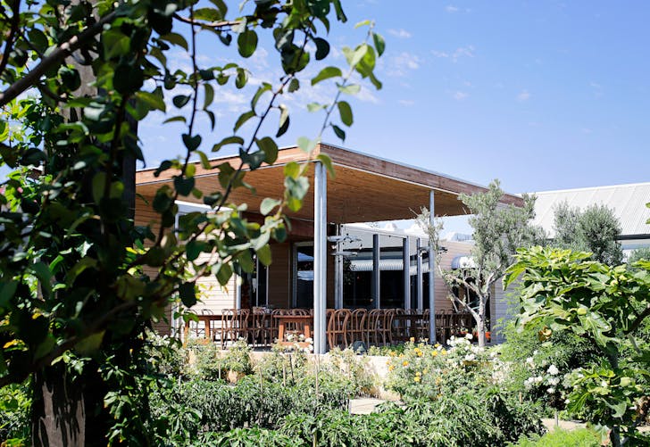 view from the garden to Coogee Common's outside dining area