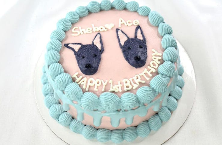 a cake with puppy faces on it