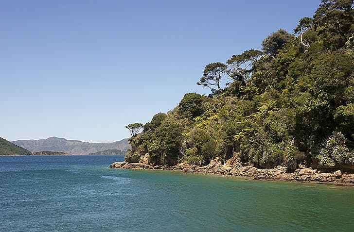 Queen Charlotte Sound