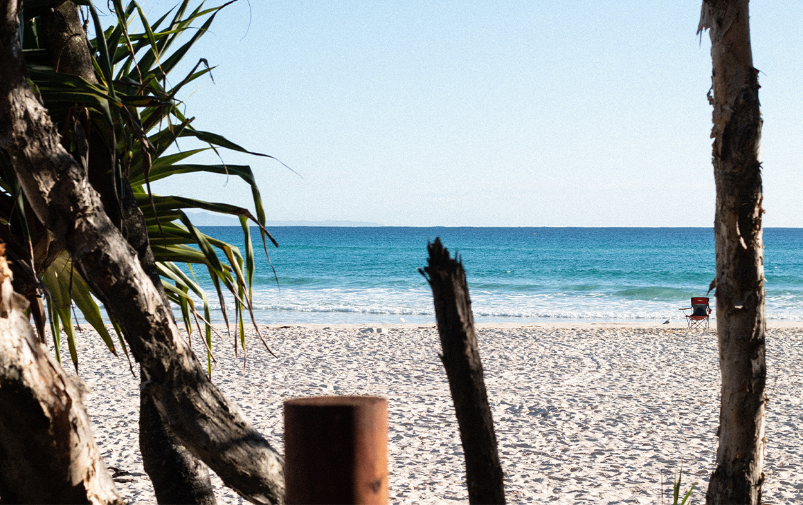 View of a beach through the palm trees