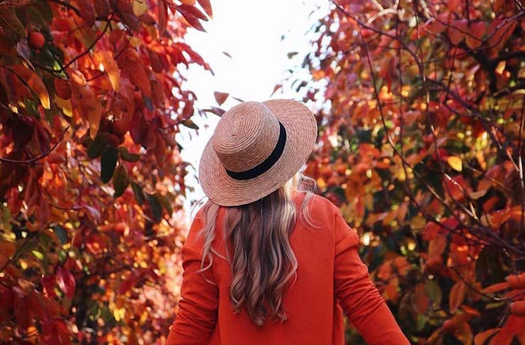 a woman dressed in a hat and red cardigan walks through Raeburn Orchards in the Perth Hills