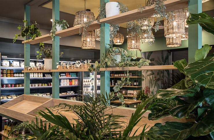 leafy green interiors of ralph and co