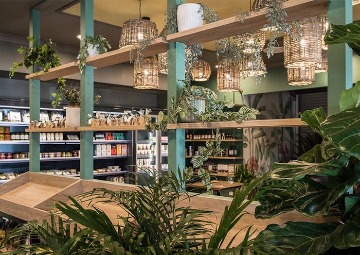 leafy green interiors of ralph and co