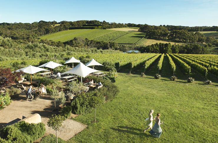 A busy winery with views of the vineyard, a great addition to best drives in Victoria.