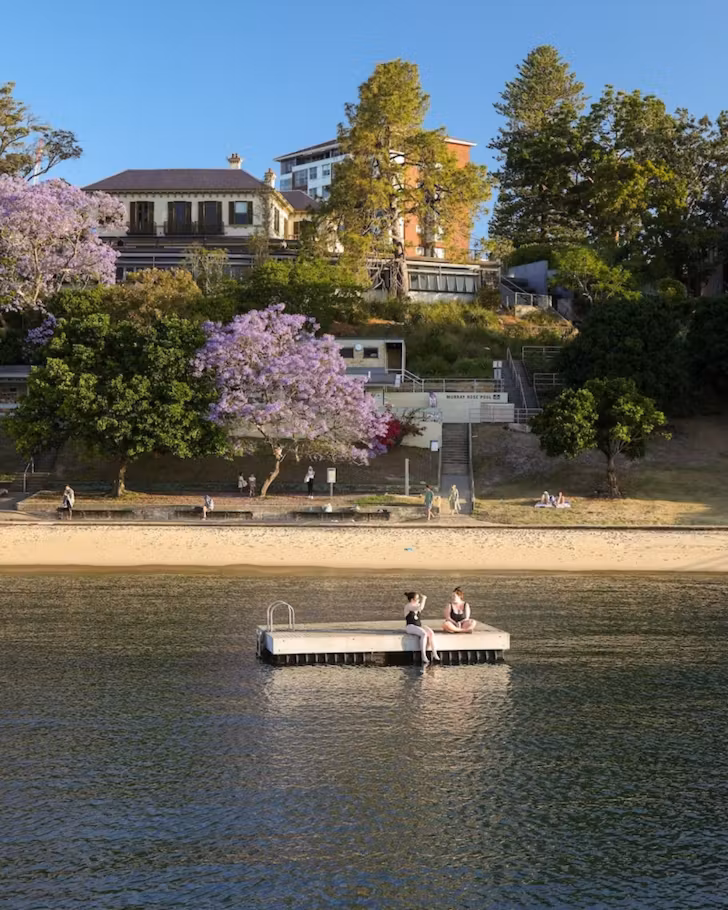 redleaf or murray rose pool is pictured, a harbour shark-netted swimming spot with jacarandas surrounding it