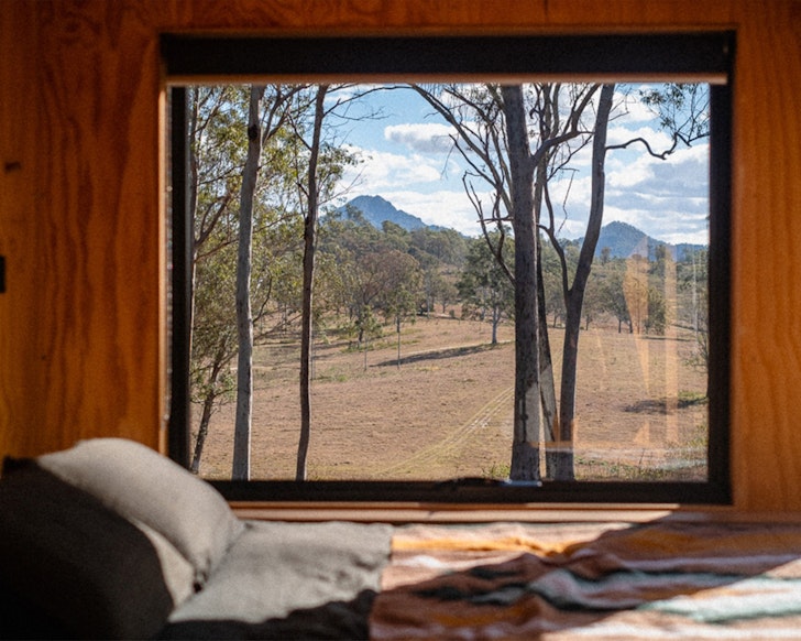 A view of trees from the bedside window at Remy tiny home in South East Queensland