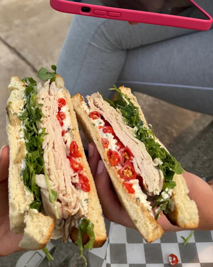 Two toasted salad sandwiches