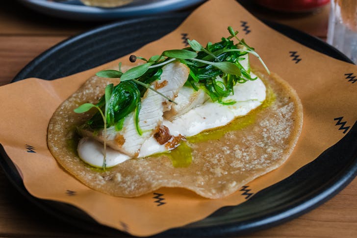 a grilled fish taco