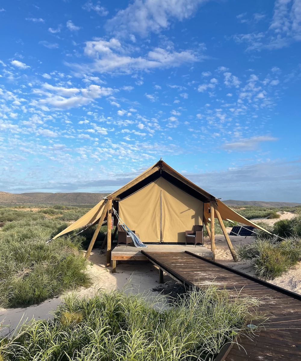 A glamping tent at Sal Salis