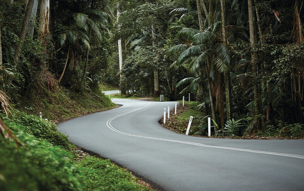 An atmospheric winding two lane road fringed by rainforest disappearing around a bend