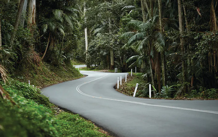 An atmospheric winding two lane road fringed by rainforest disappearing around a bend