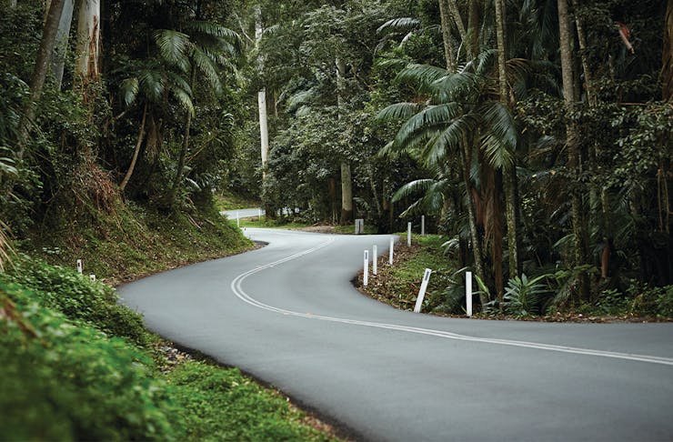 An atmospheric winding two lane road fringed by rainforest disappearing around a bend