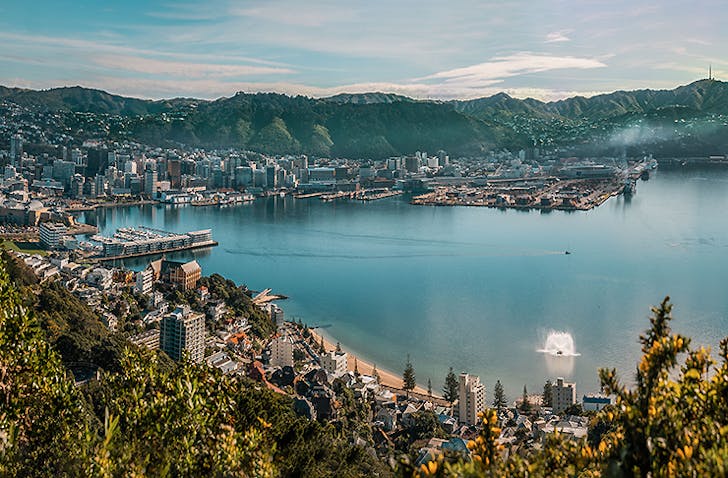 A beautifully scenic view from the top of Mount Victoria