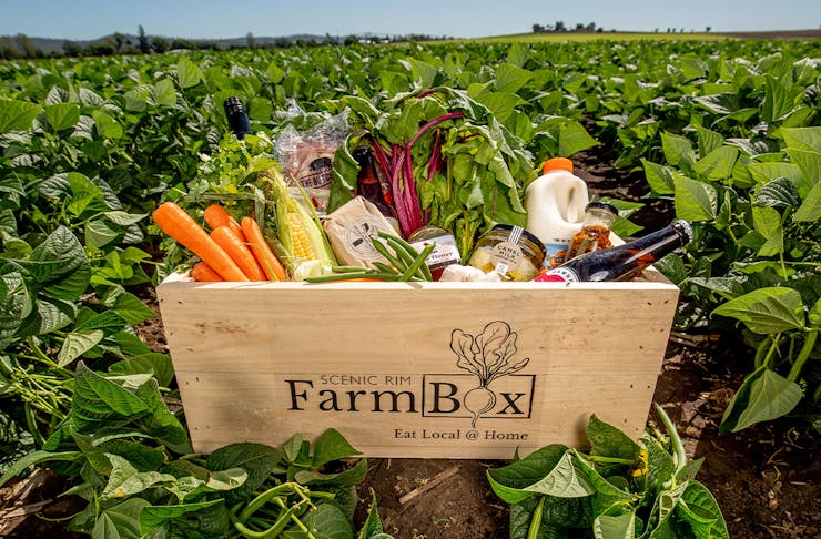 A wooden box filled with fresh produce, sitting in a farm field of green leaves