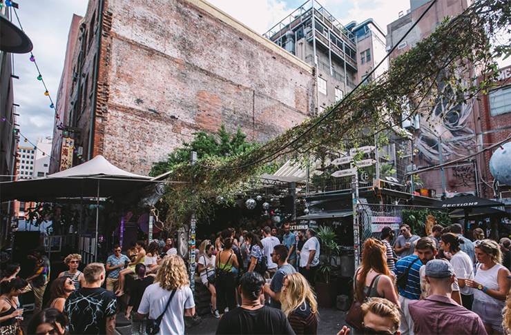 People partying in a laneway at block party. Vines hang off a powerline.