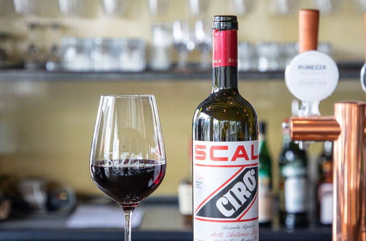 A bottle of red wine with a glass of red wine. 
