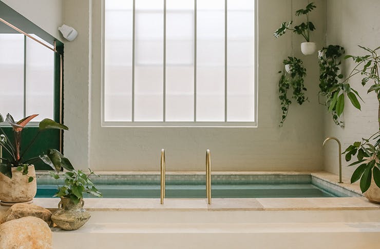 A lofty bathing pool with a large window behind it. Plants line the edge of the frame.