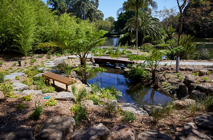 A stunning garden with a small lake in the middle. Palm trees line the horizon. 