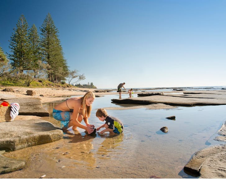 a mother and sun play in the rockpools at Shelly Beach in Caloundra