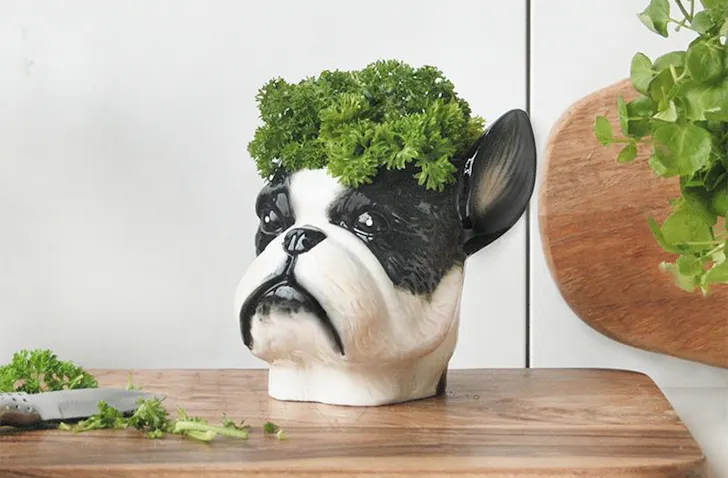 A dog head planter from Shut The Front Door