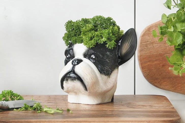 A dog head planter from Shut The Front Door