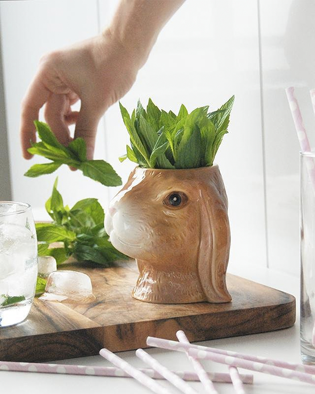 A cute rabbit head planter from Shut The Front Door.