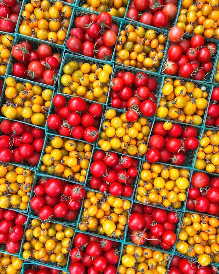 Santa Monica Farmers Markets