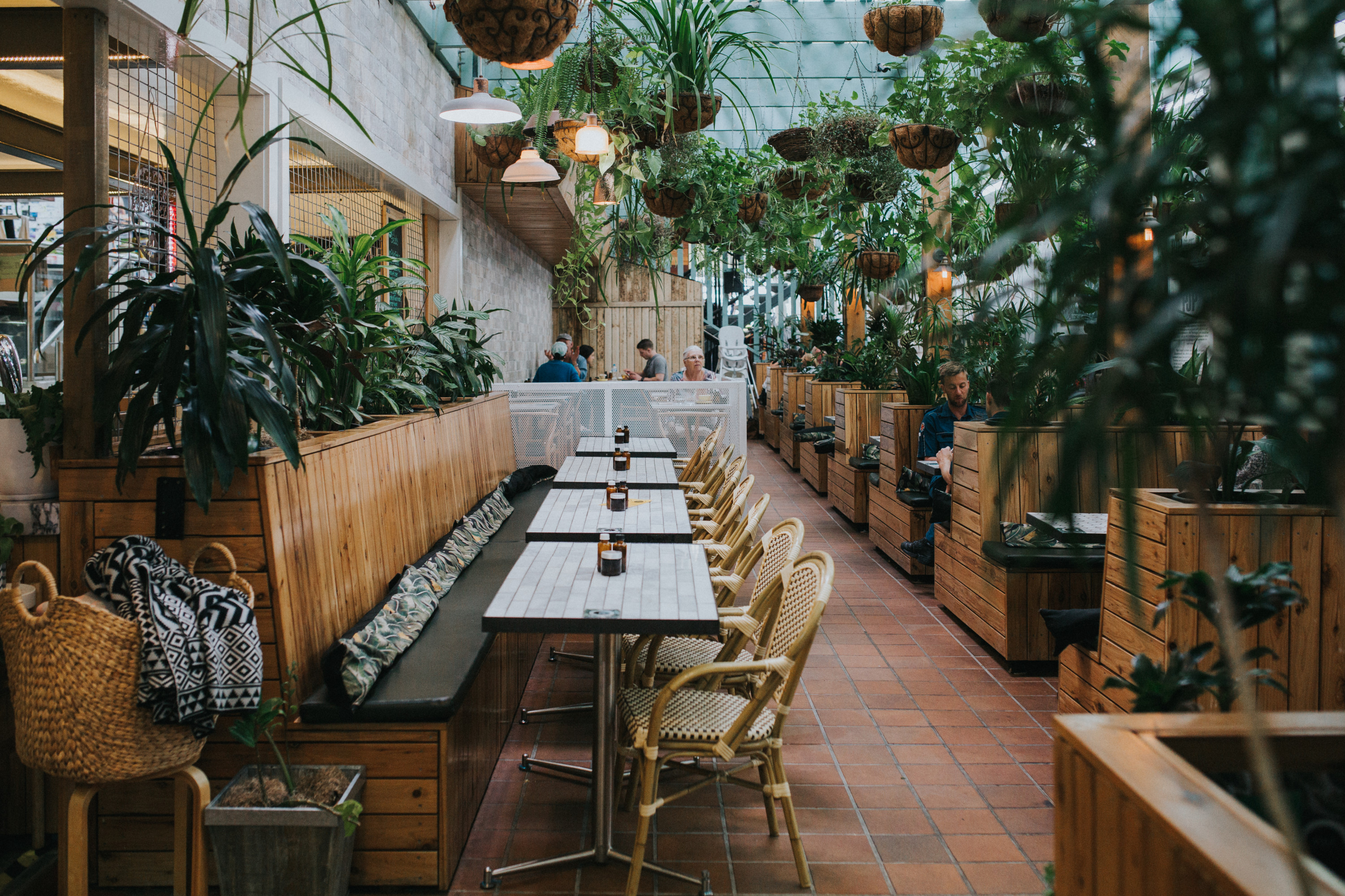 the lush interior of a cafe filled with greenery