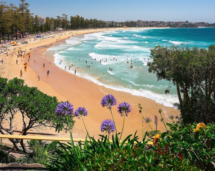 Spit to Manly running track