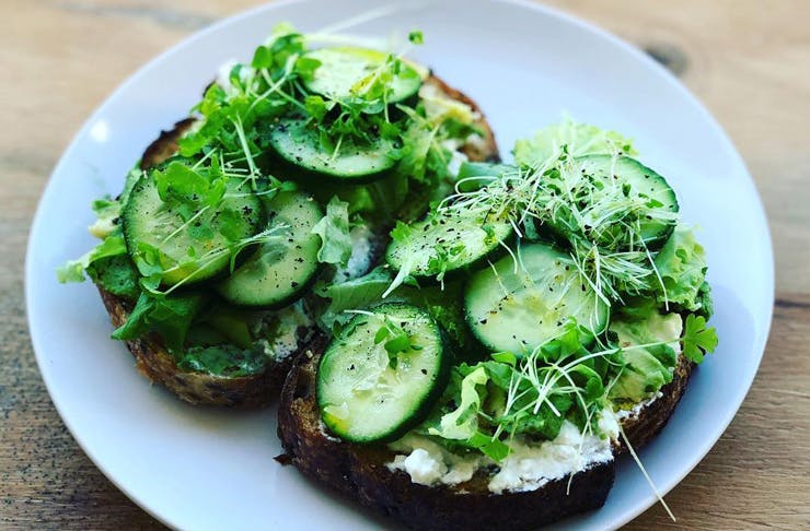 Avocado toast made using Salad Lettuce and Celery Microgreens from Sprout Stack Urban farm. 