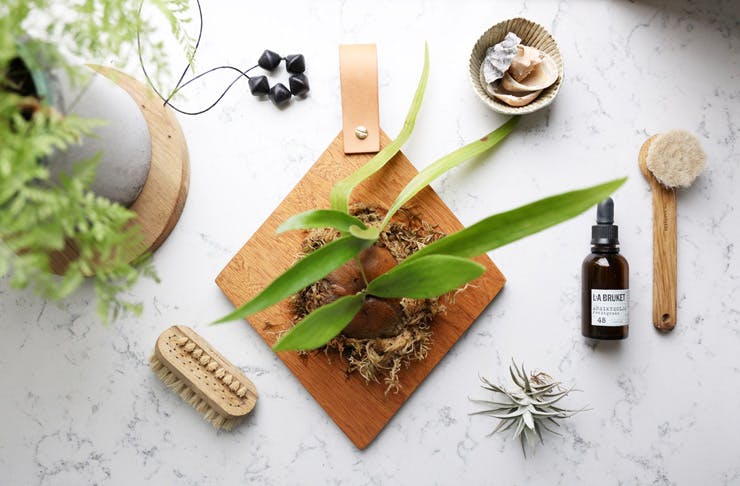 things to do in Sydney