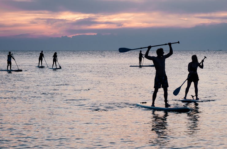 A group of stand up paddle boarders in the ocean at sunset. 
