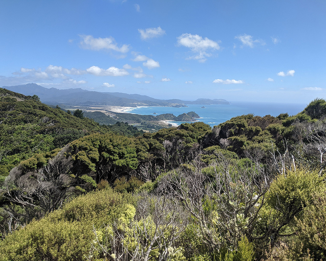 The view from the top of Station Rock Road Walkway looking towards Medland beach.