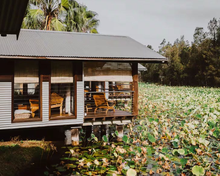 stunning rainforest boathouse at leaves and fishes hunter valley airbnb