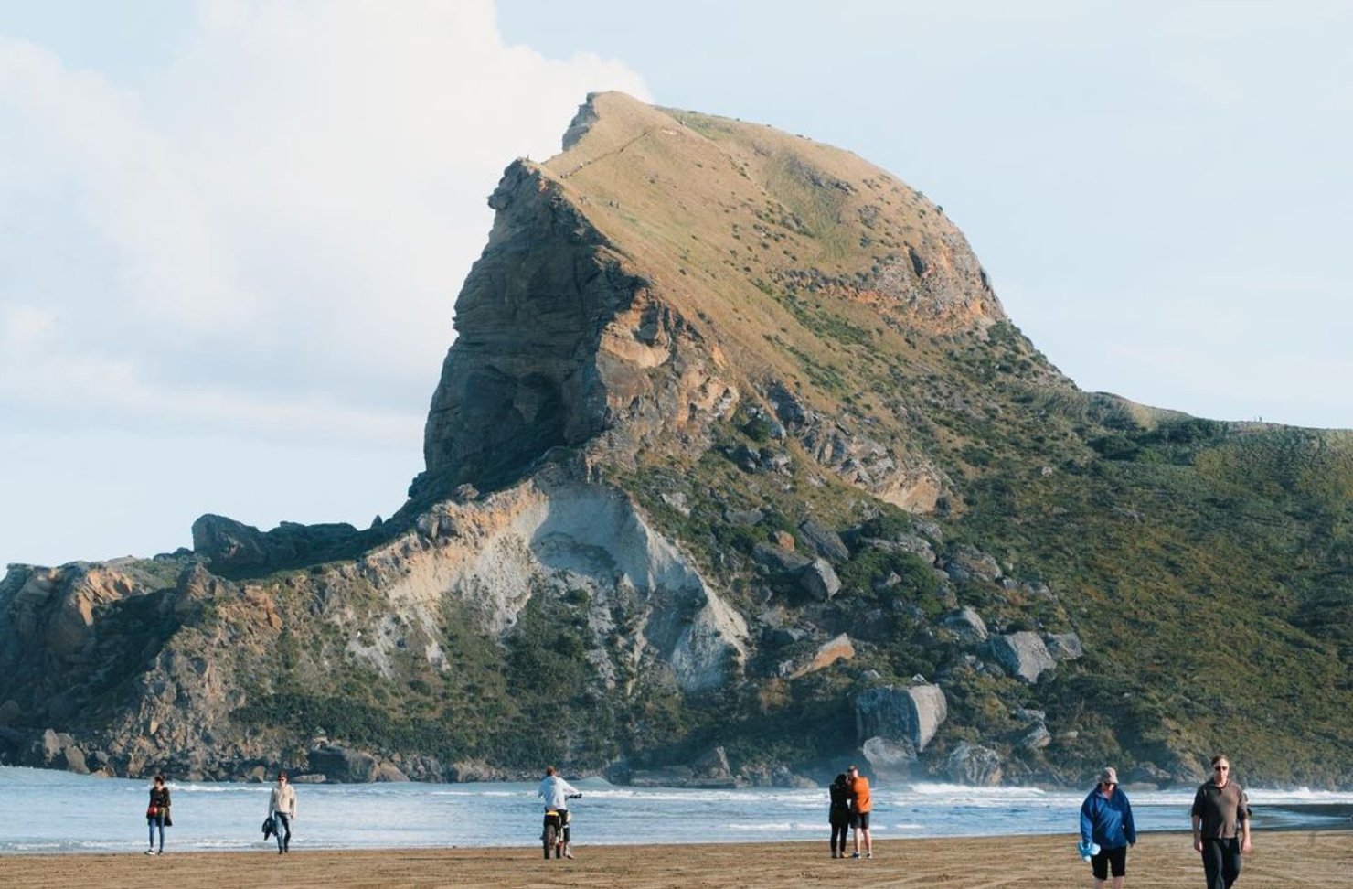 Summer in Wellington