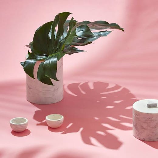 Ponsonby Shopping, Ponsonby Fashion Shops, Ponsonby Clothing Stores, shopping, women's fashion auckland