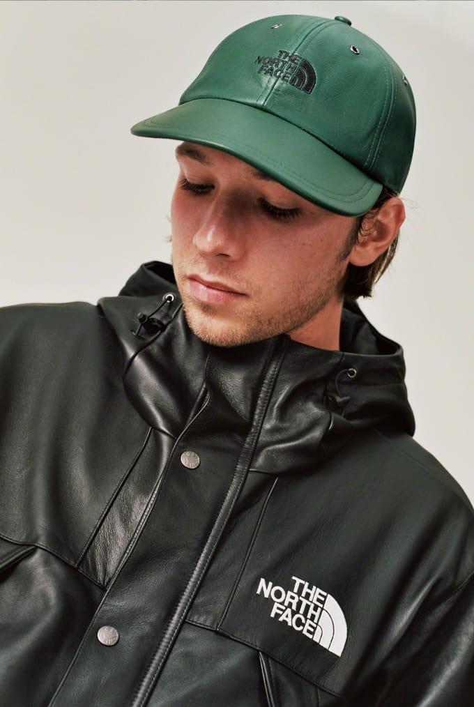 the north face dad hat