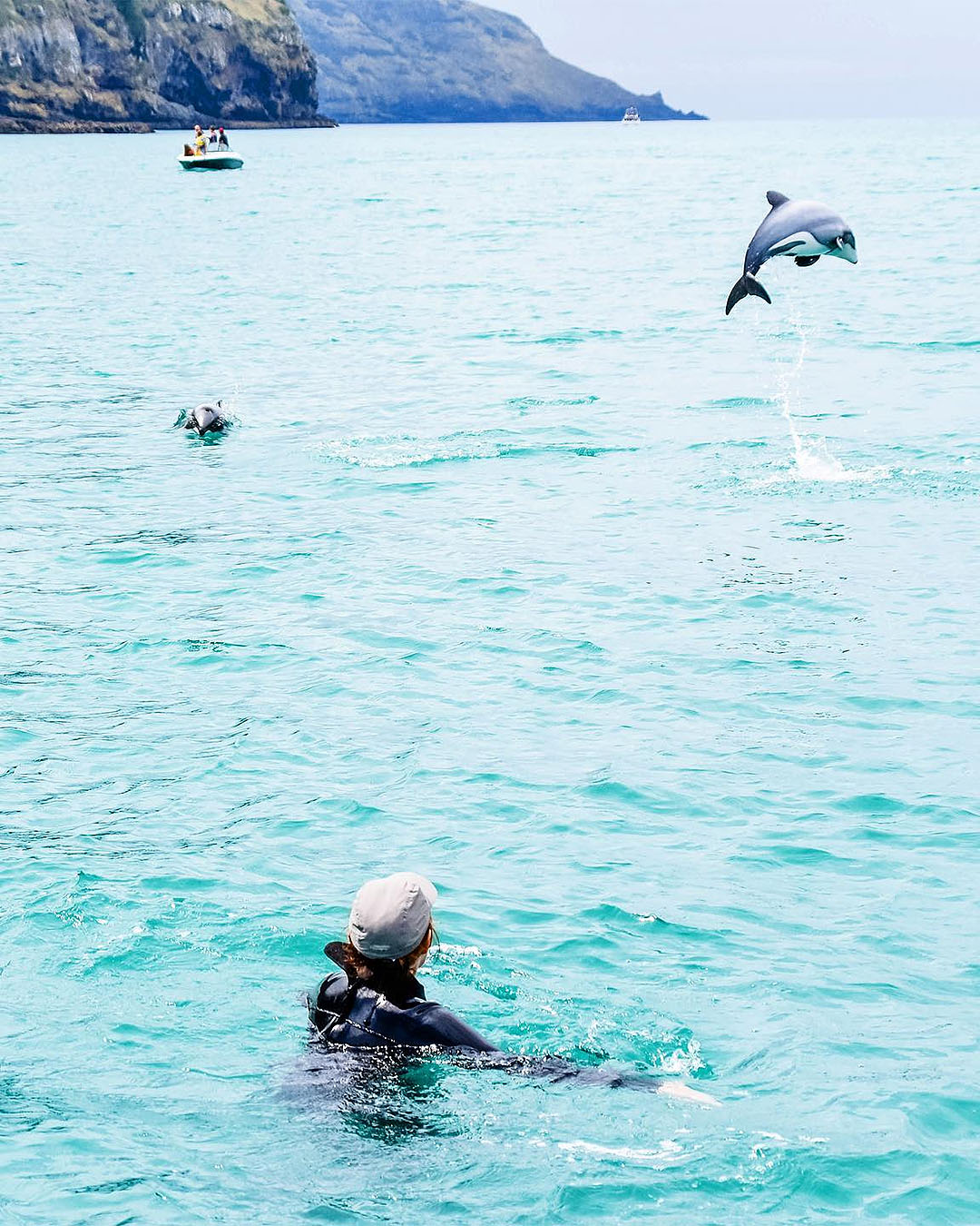 A person watches from the water while dolphins frolic nearby.