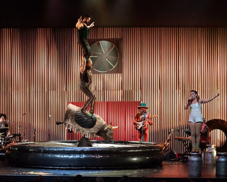sydney festival 2025 animal circus