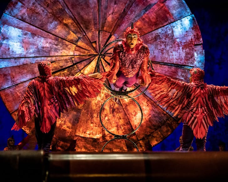 cirque du soleil sydney luzia