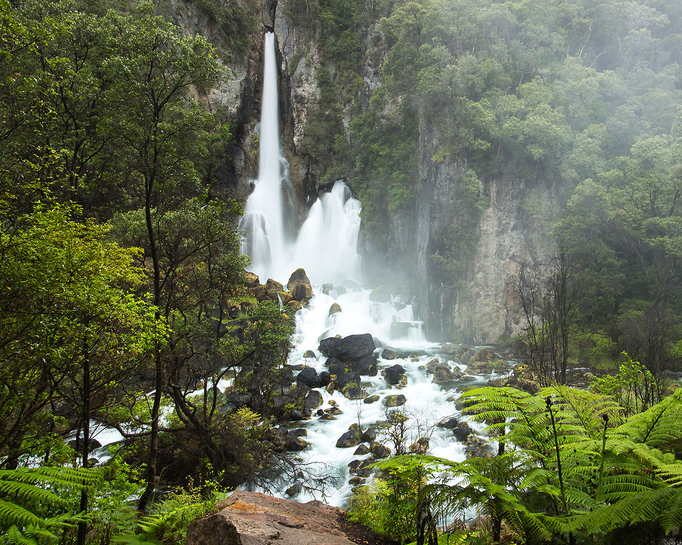 Beautiful Tarawera Falls are seen amongst dense green bush.