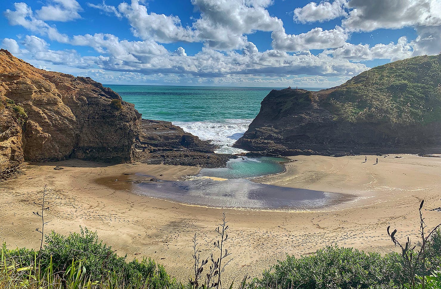 The tasman track at Piha