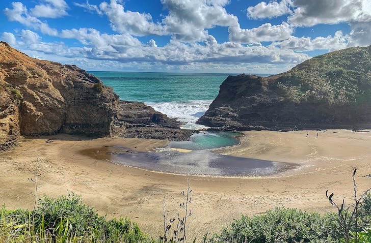 The tasman track at Piha