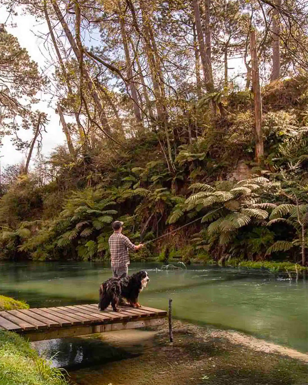 A man fishes off a wharf while his dog looks on. Definitely one of the best pet-friendly accommodation in NZ.