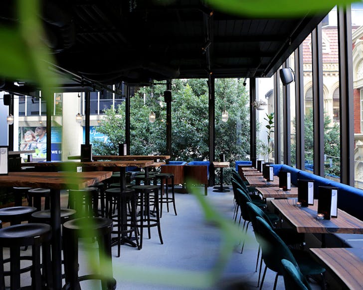 Terrarium's plant-filled, sun-drenched bar in Perth's CBD 