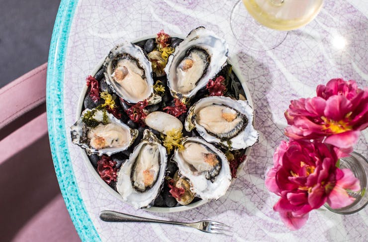 A plate of freshly shucked oysters. 