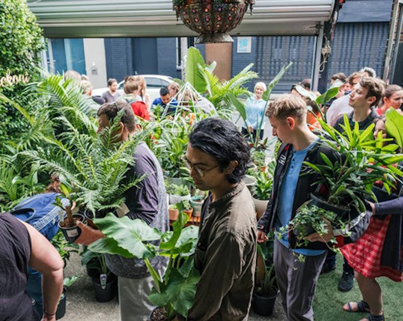 The Jungle Collective URBAN LIST MELBOURNE