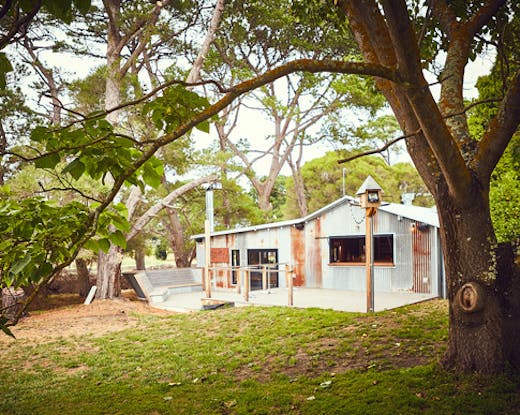 the-whiskery-bellarine 