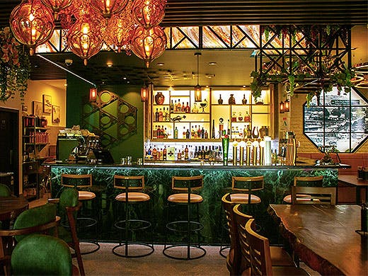 The bar at the Albert lit up in pretty colours with botanicals hanging down.