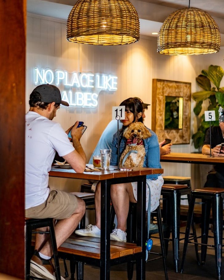 the albion parramatta sydney's best dog-friendly pubs